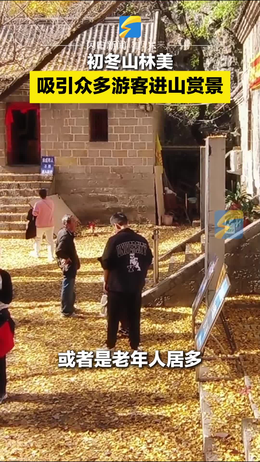 初冬山林美  吸引众多游客进山赏景