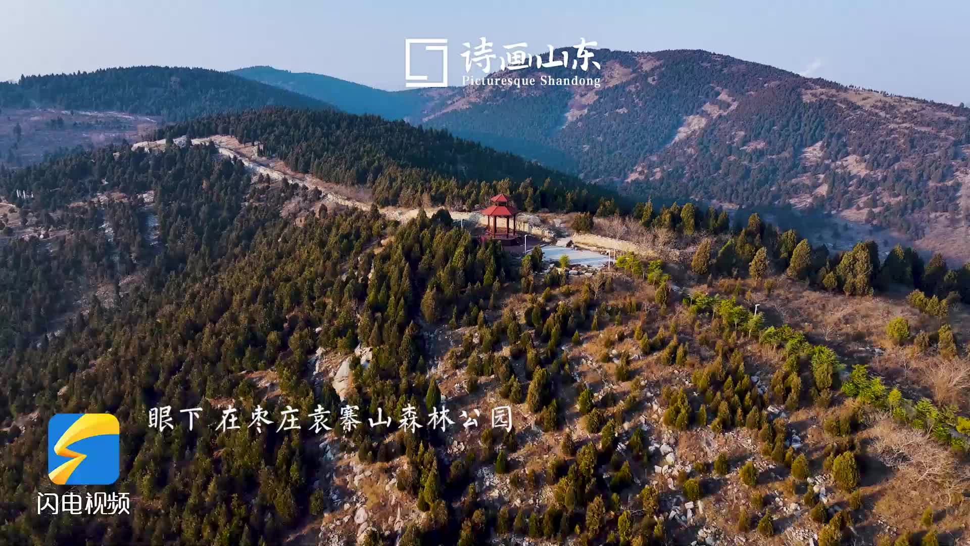诗画山东丨枣庄这片森林“换新装” 等你来