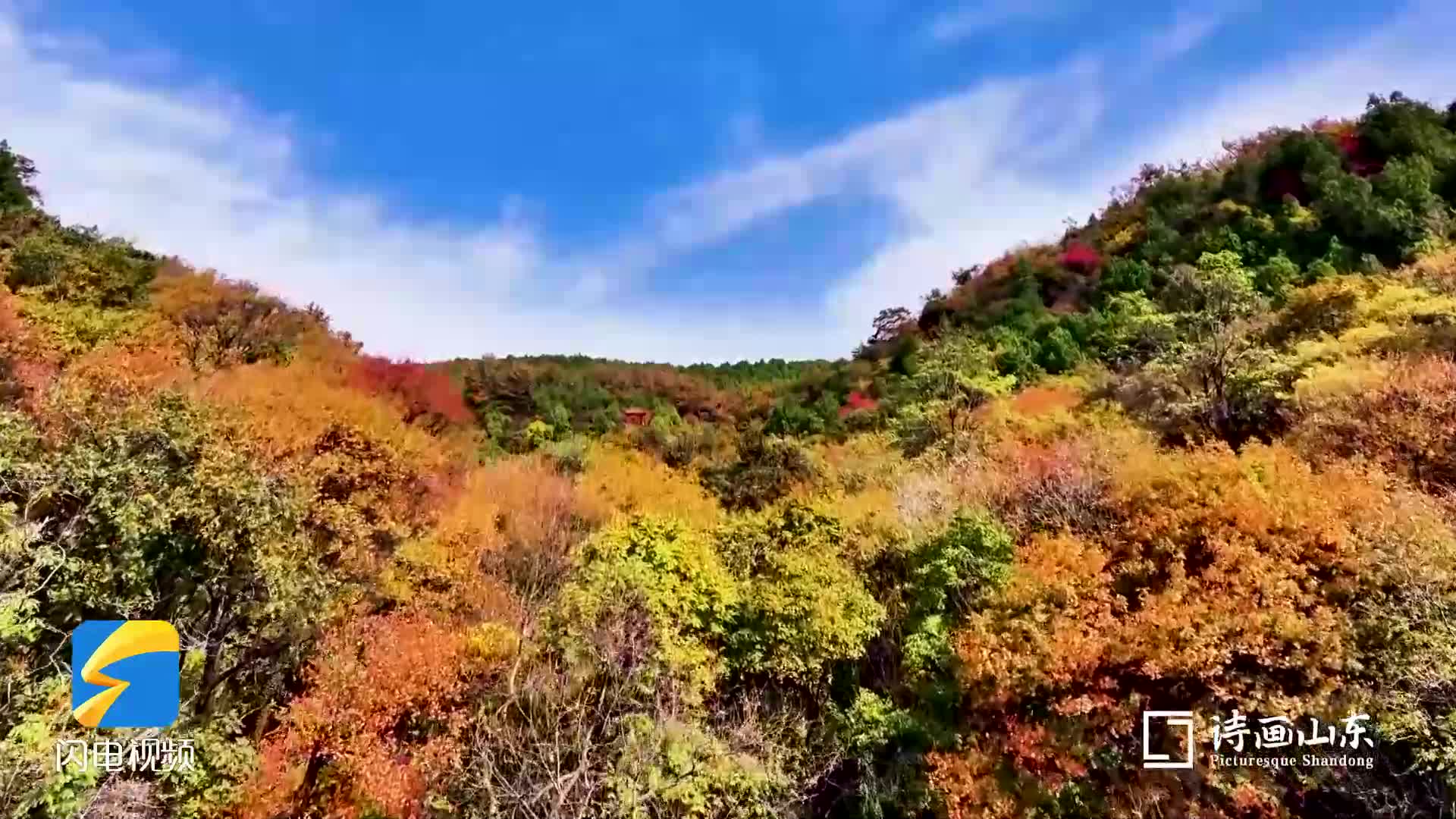 诗画山东丨如霞似锦 抱犊崮红叶进入最佳观赏期