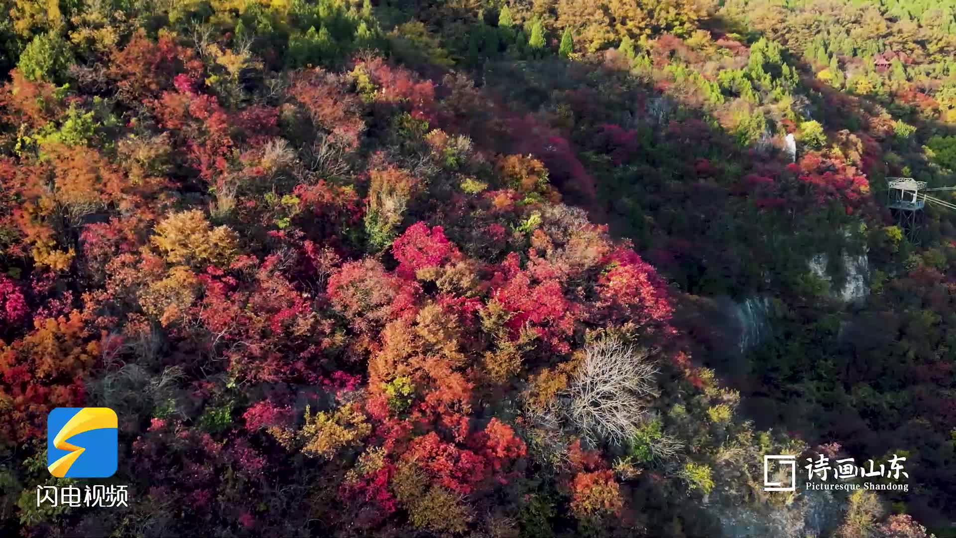 诗画山东丨层林尽染 枣庄抱犊崮漫山红叶惹人醉