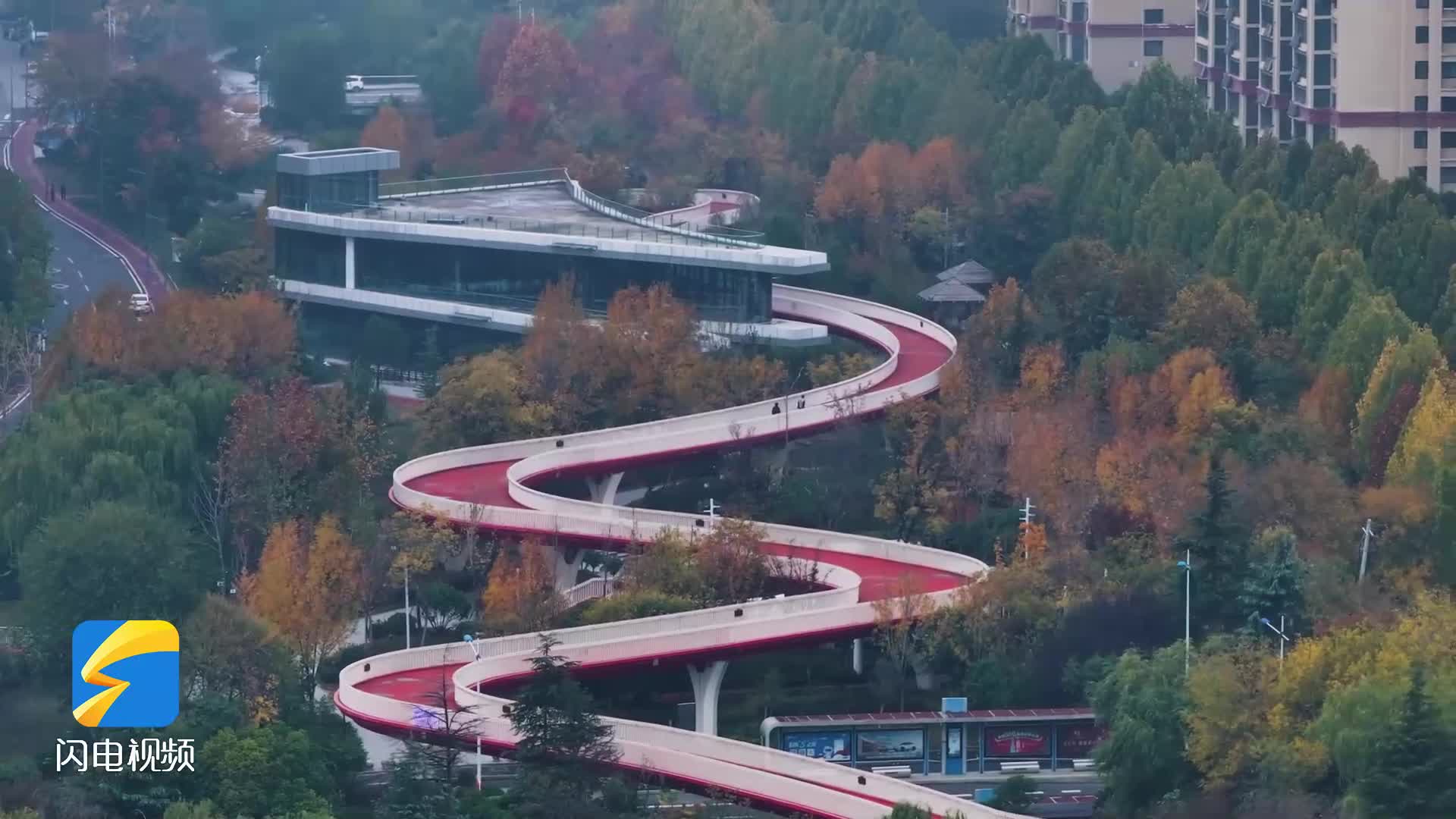 枣庄凤鸣公园层林尽染 迎游园赏景好时节
