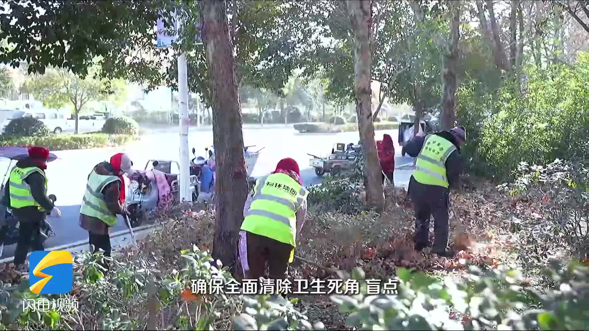 枣庄薛城开展绿化带清理行动 守护道路风景线