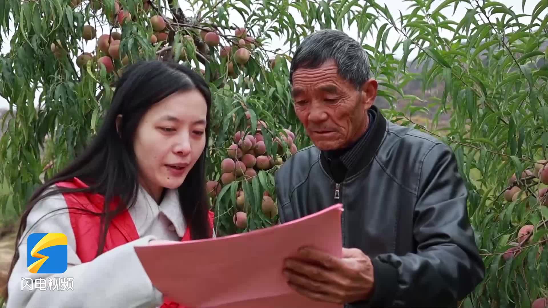 枣庄山亭落实“帮办代办”服务机制 畅通群众办事“最后一米”