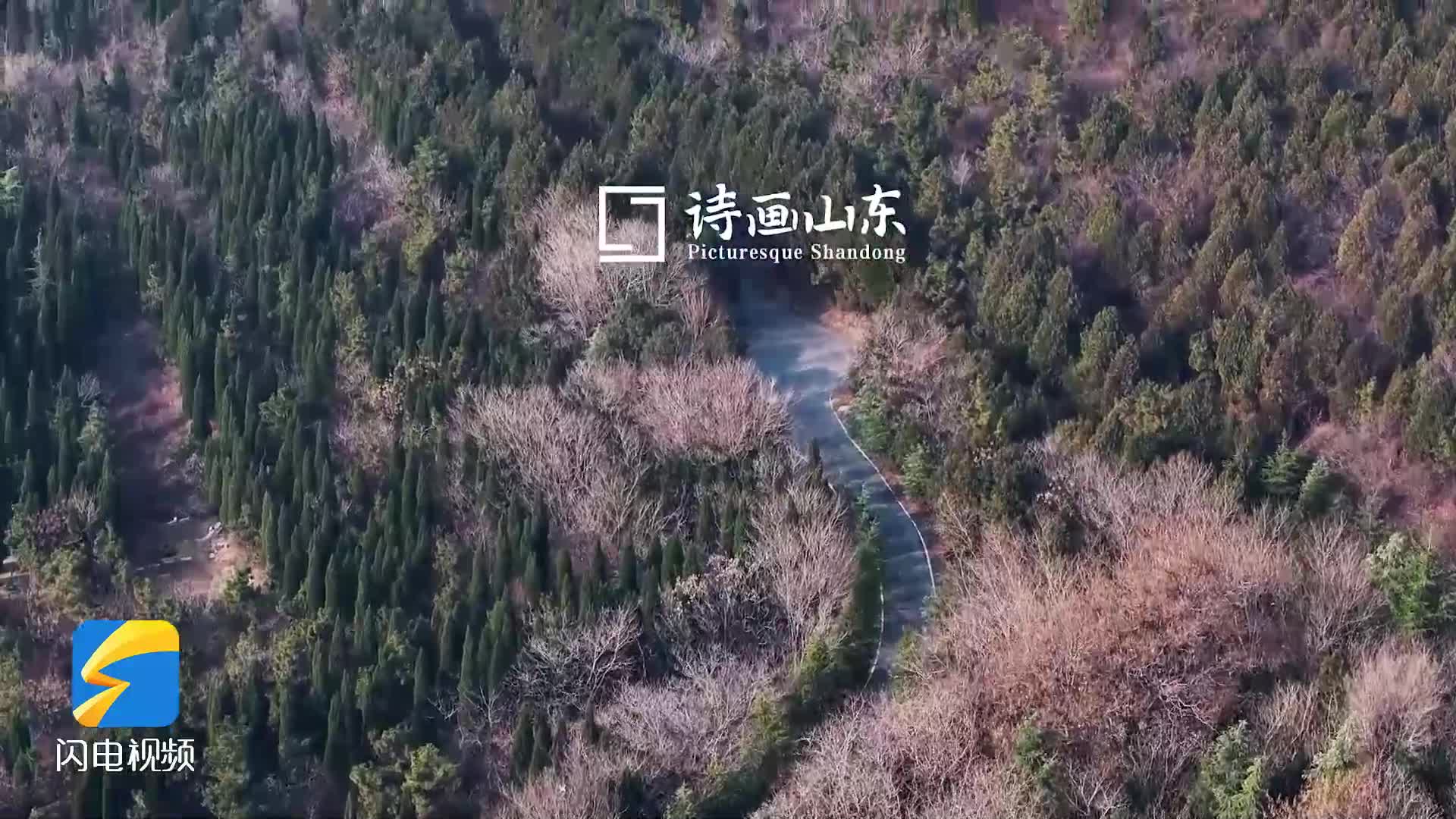 诗画山东丨航拍冬日枣庄临山公园 邂逅静谧之美