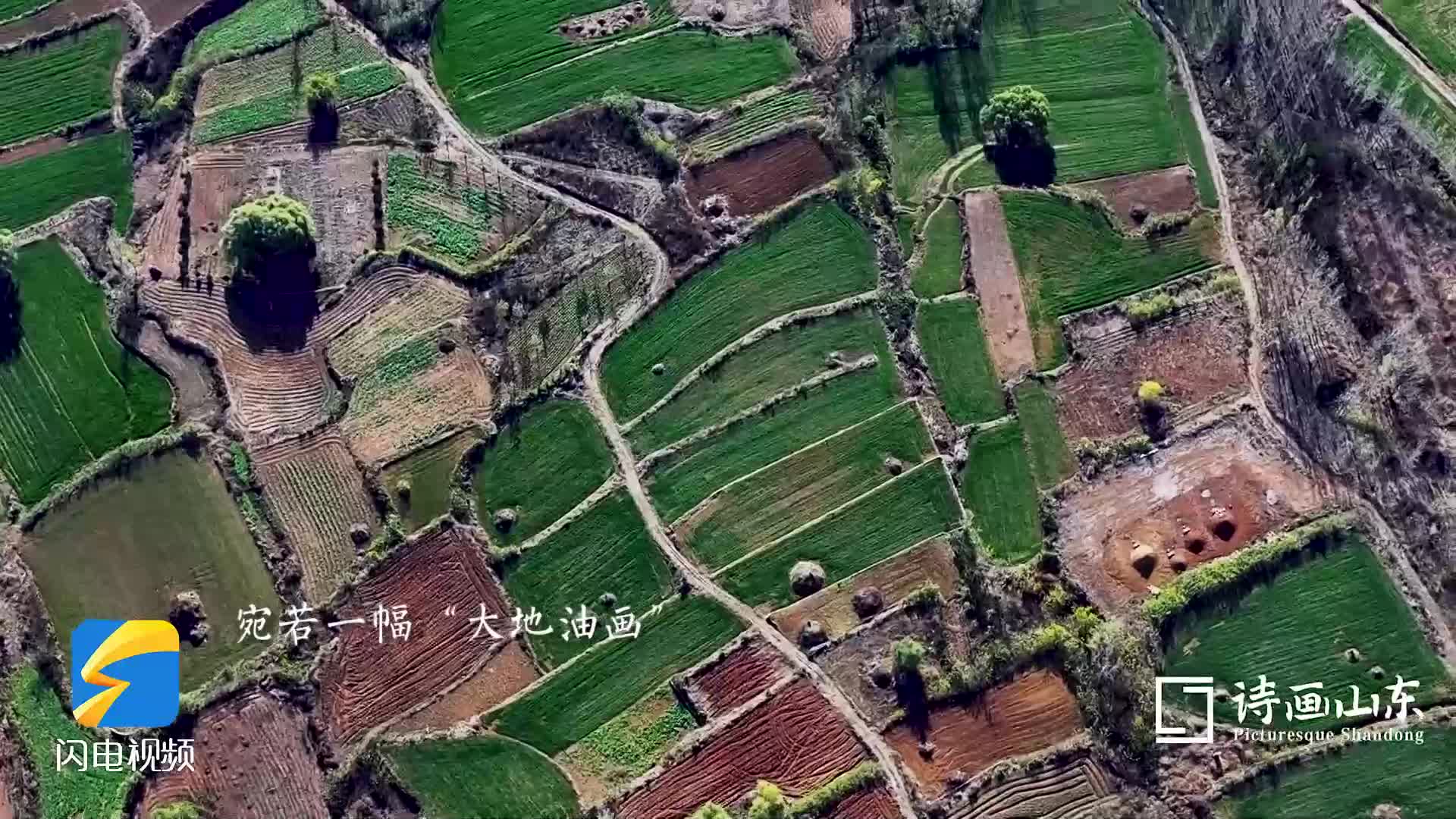 诗画山东丨航拍枣庄冬日田野 色彩斑斓如“大地油画”