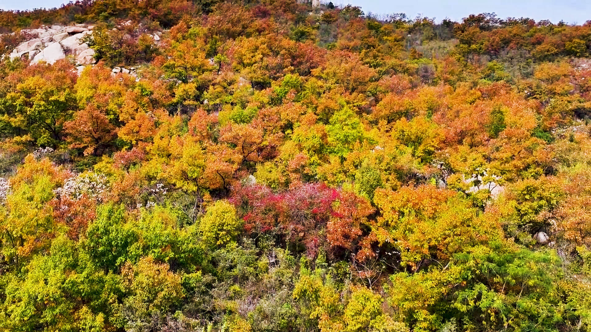 诗画山东丨秀色满山 枣庄山亭冬日山色美