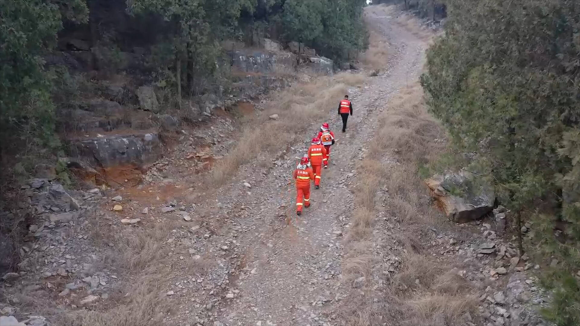 枣庄山亭：紧绷森林防火弦 共筑绿色安全网