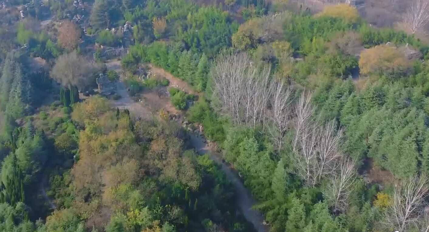 诗画山东｜枣庄翠竹谷色彩斑斓  橙黄橘绿美不胜收