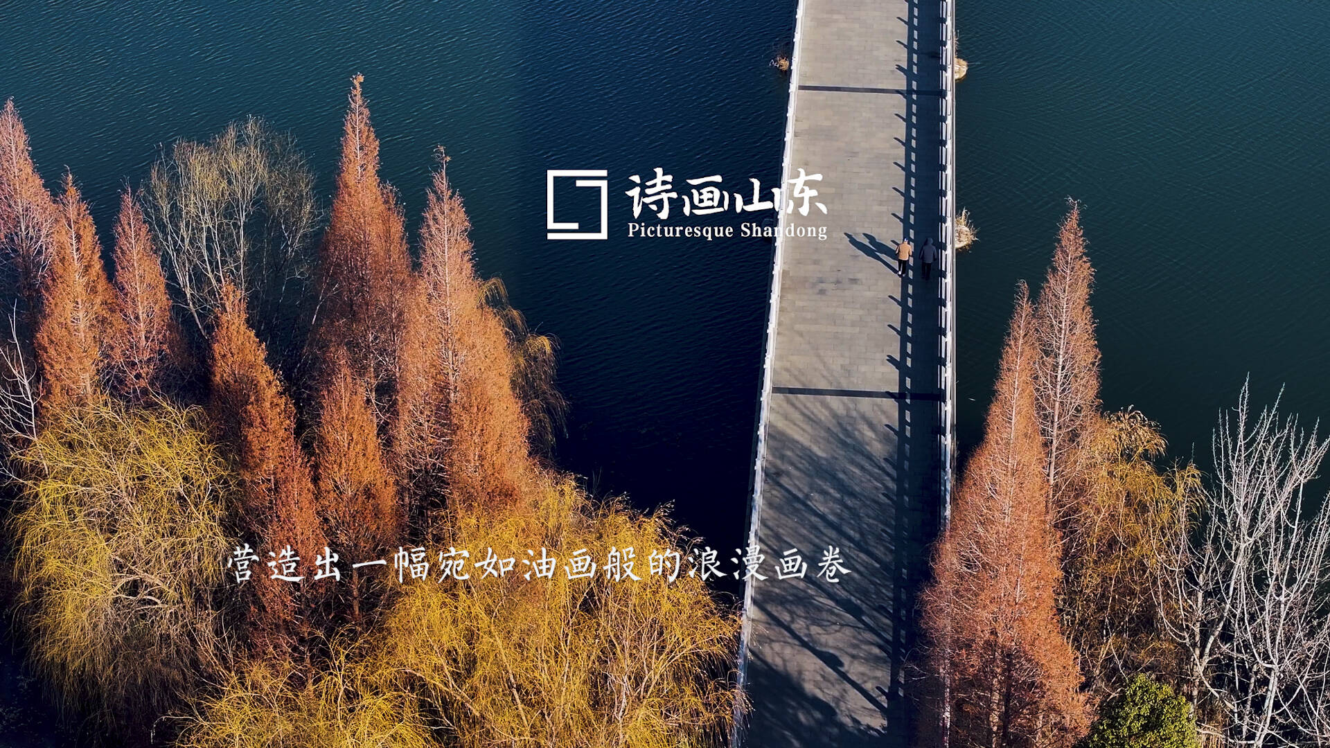 诗画山东丨冬日暖阳下 枣庄龙潭公园景美如画