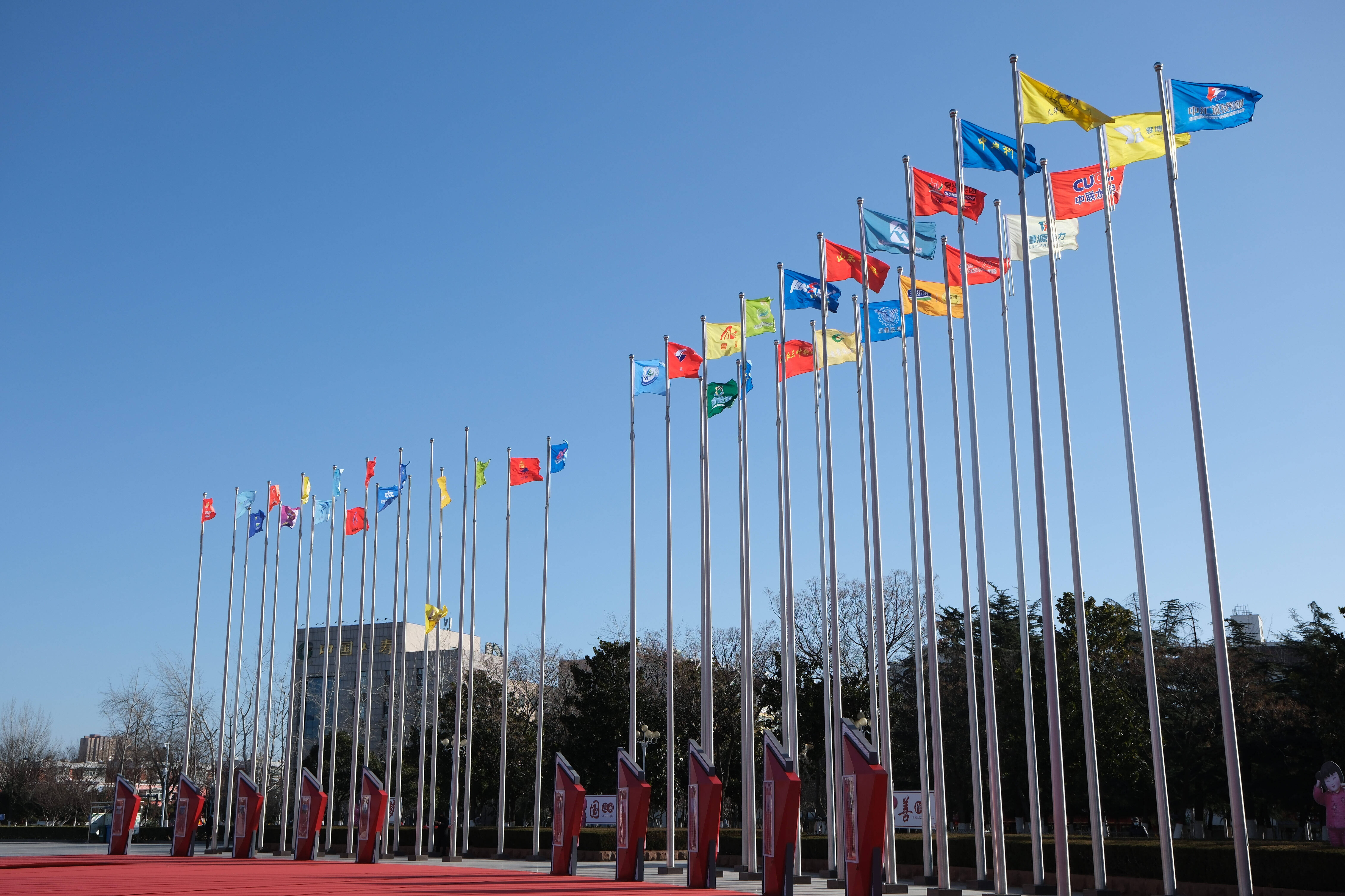 枣庄市市中区荣耀广场：80面企业旗帜飞扬，见证第三届企业家大会开启美好新征程
