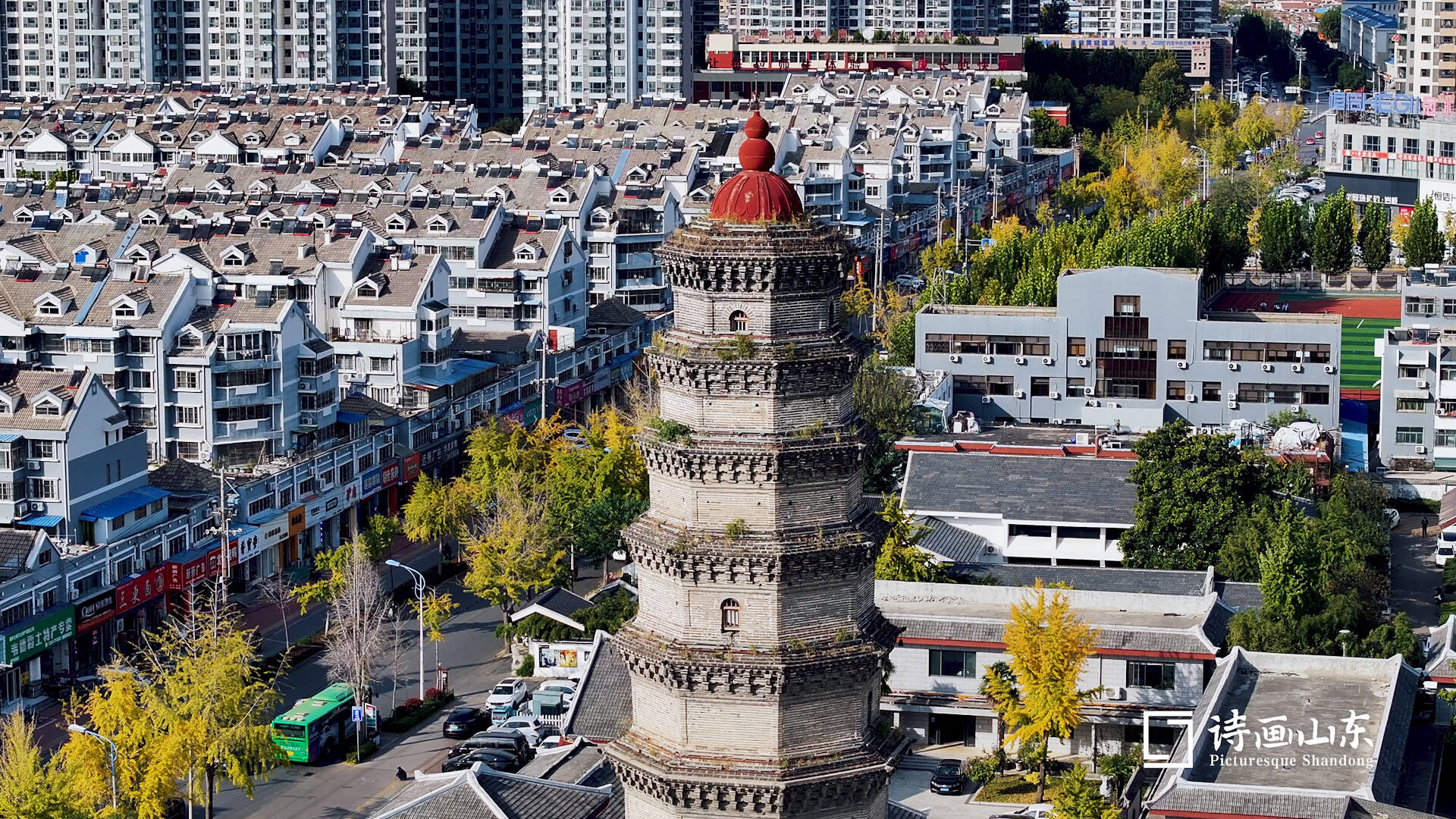 诗画山东丨滕州龙泉广场层林尽染 斑斓多彩