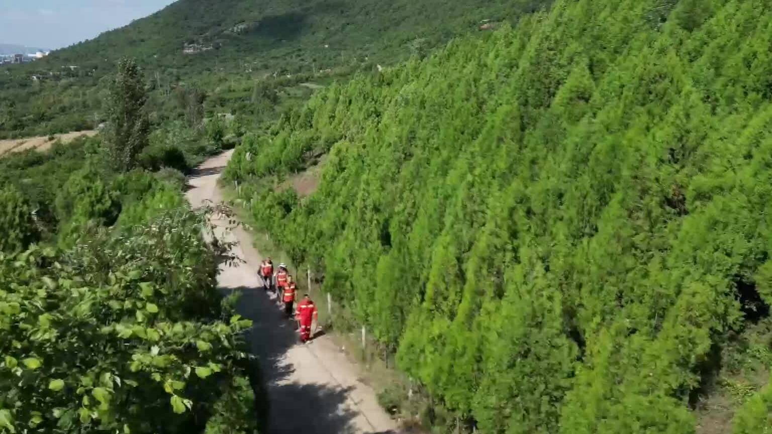 枣庄峄城今年吸纳民间林长23人 完成荒山彩化1300亩