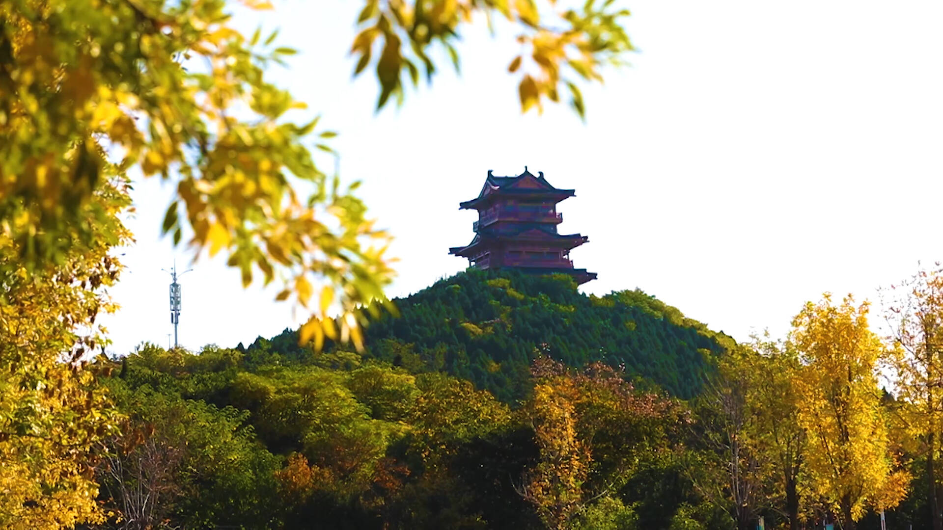 诗画山东｜层林尽染 来薛城临山感受多彩初冬