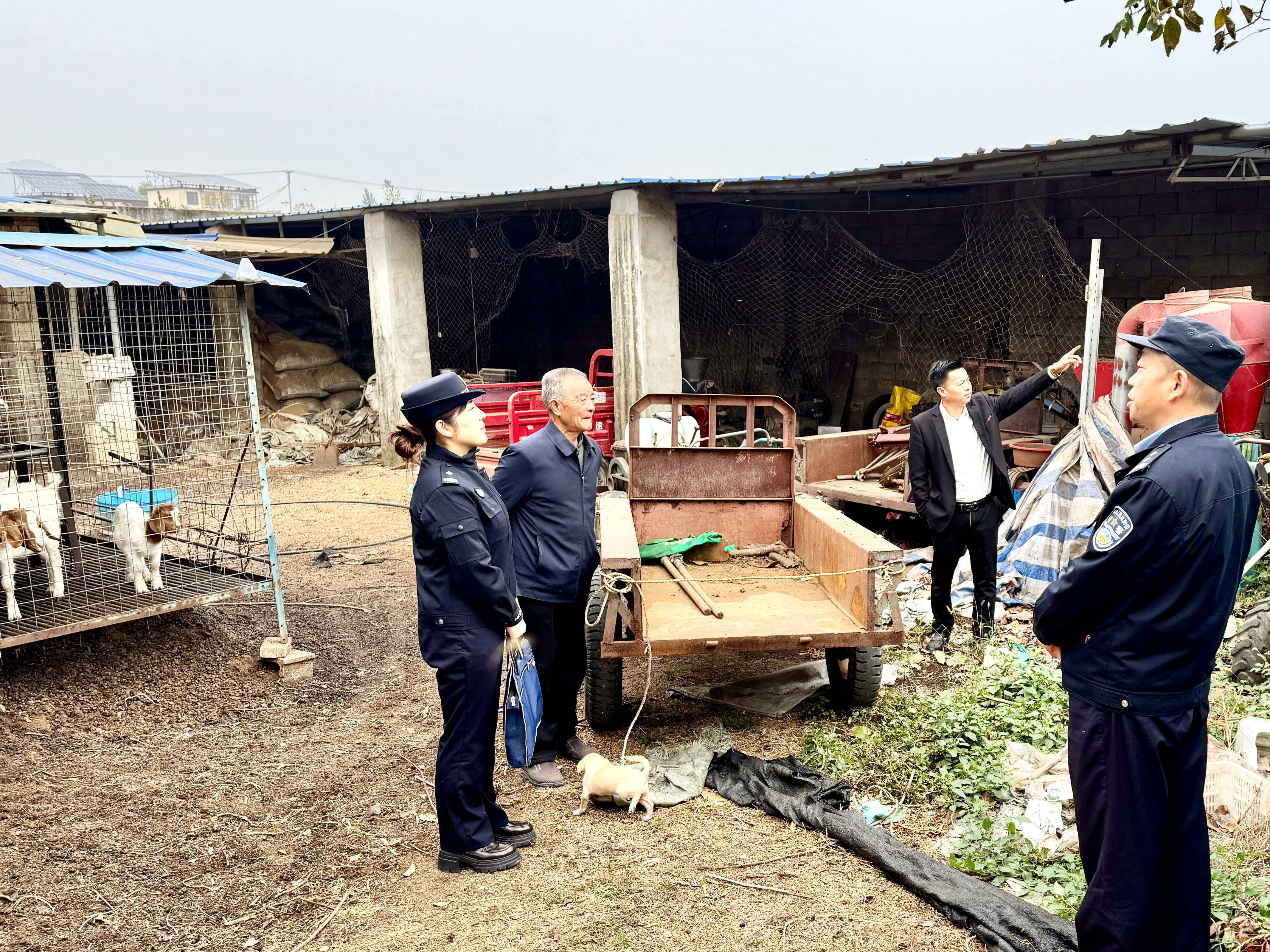 牲畜防盗 枣庄山亭公安送上冬季“平安护身符”