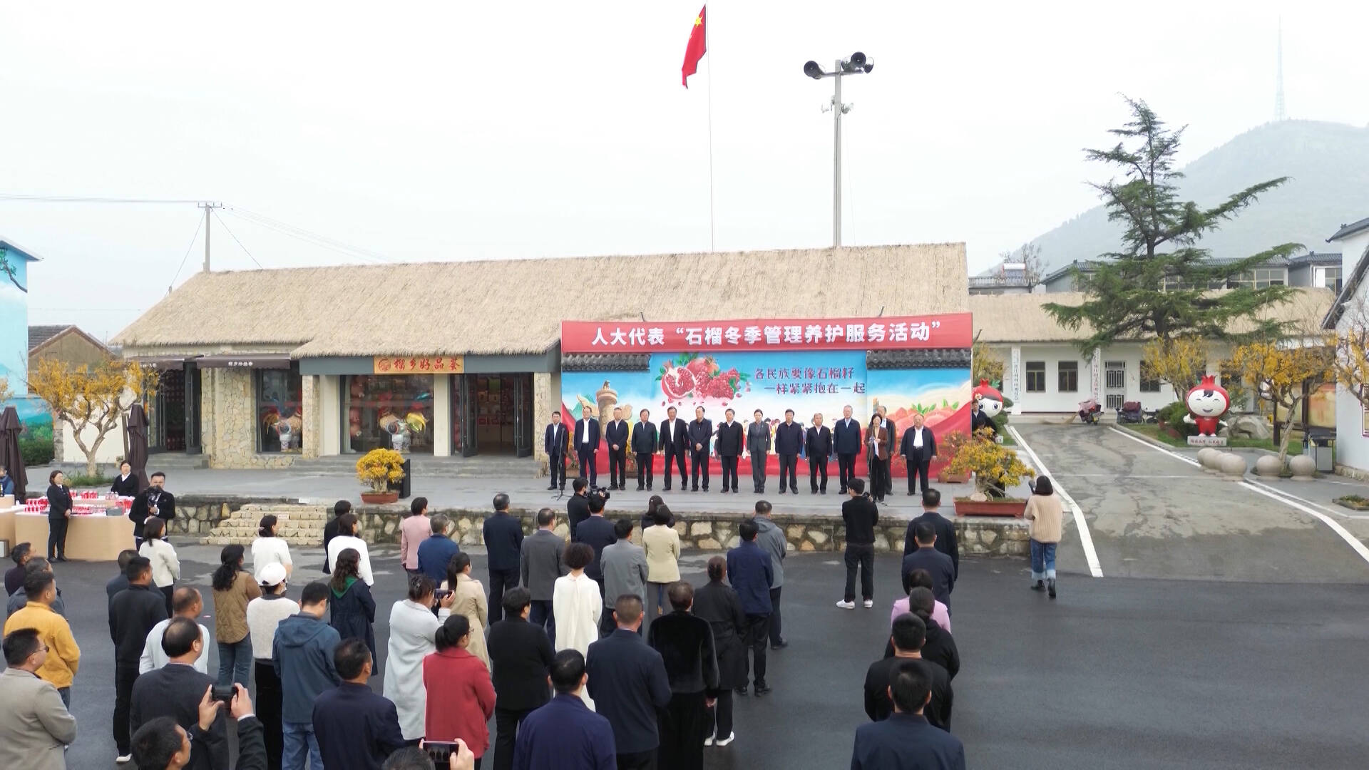 枣庄：“石榴冬季管理养护服务活动”启动