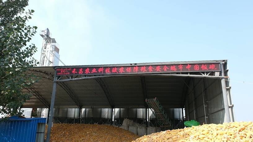 确保秋粮颗粒归仓！枣庄市市中区烘干仓储基地推动农业现代化