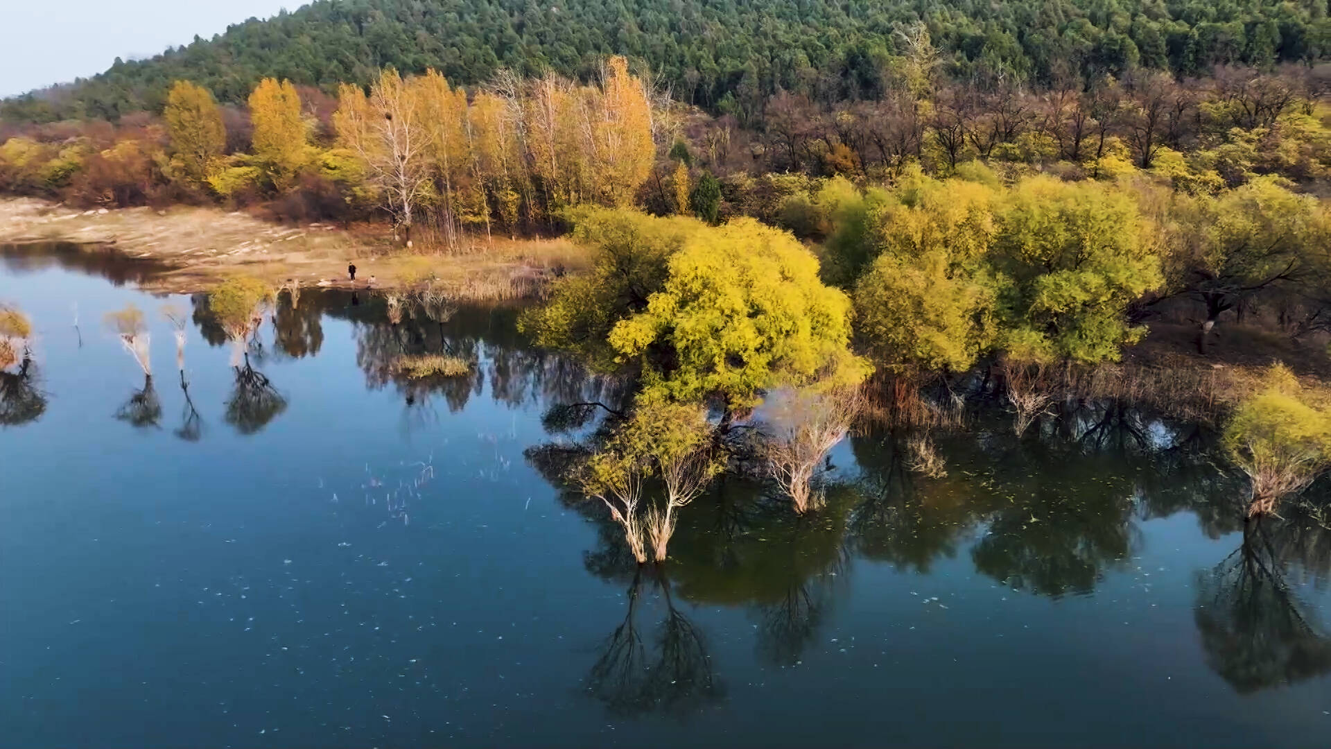 诗画山东丨层林尽染，美不胜收！枣庄杨峪风景区初冬美景醉游人