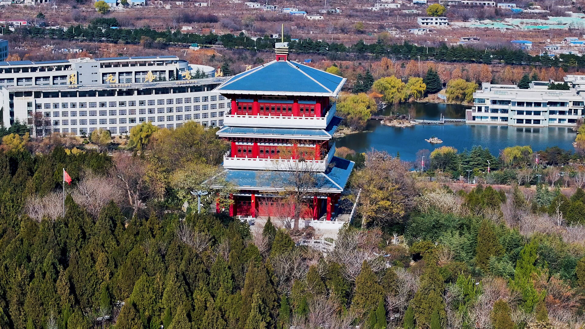 冬日航拍枣庄龟山公园 漫山青松别样美
