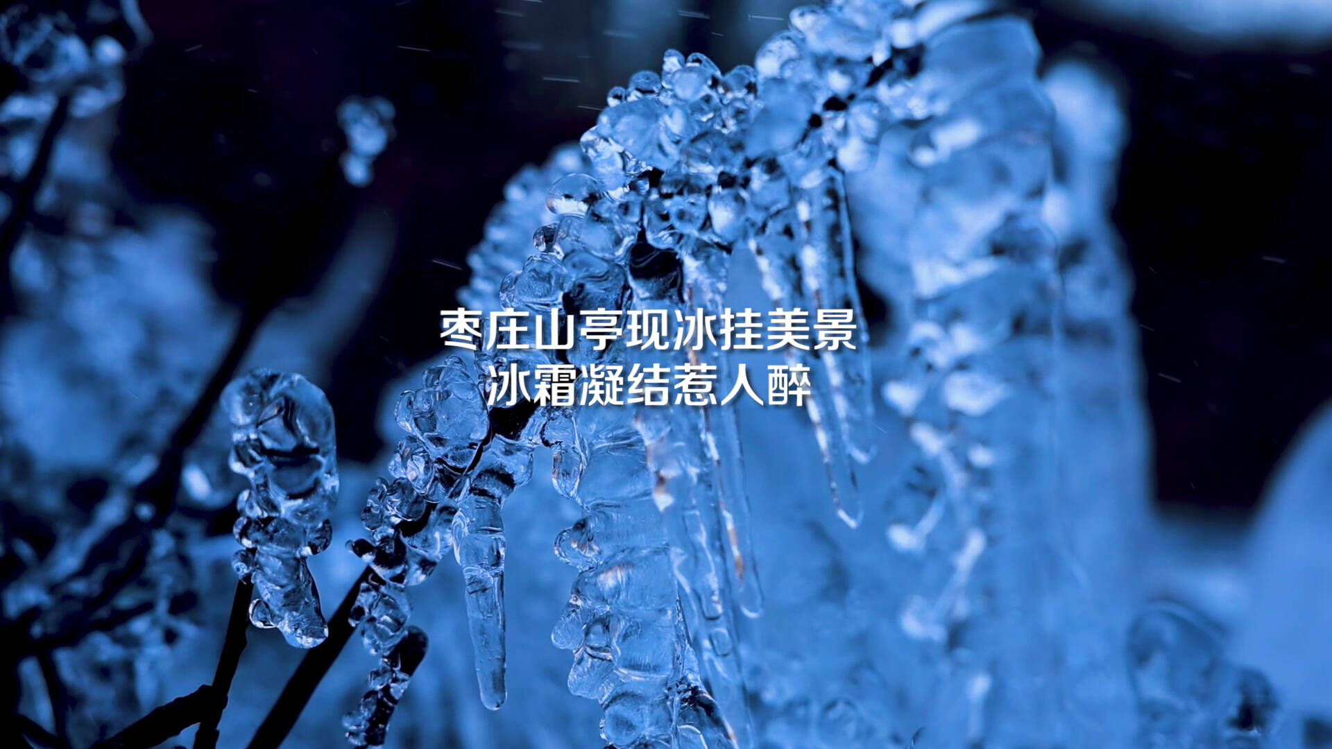 诗画山东丨枣庄：山崖现冰挂美景 玉树琼枝美如画