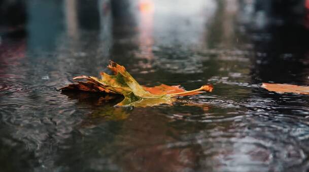 诗画山东丨雨中漫步枣庄市市中区 感受别样的风情与温馨
