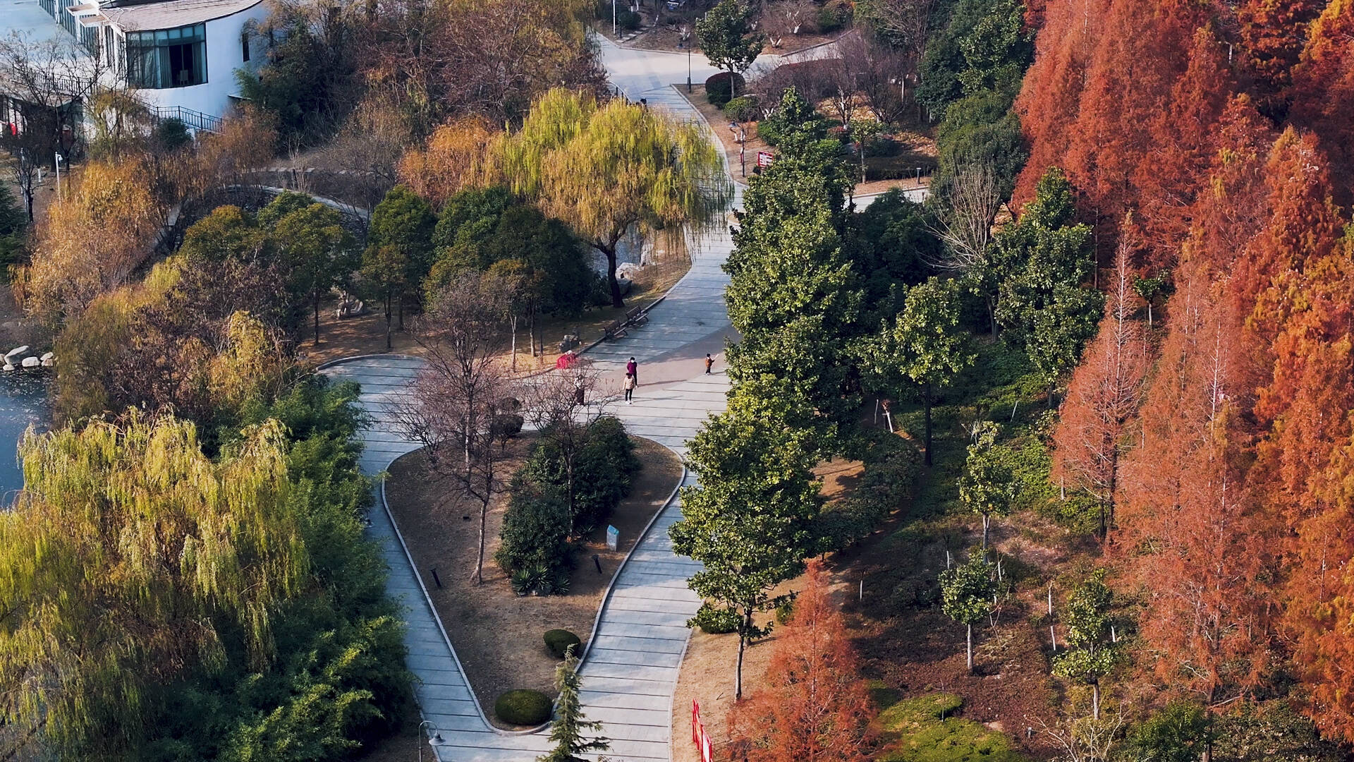 枣庄：冬日风景美 市民休闲乐