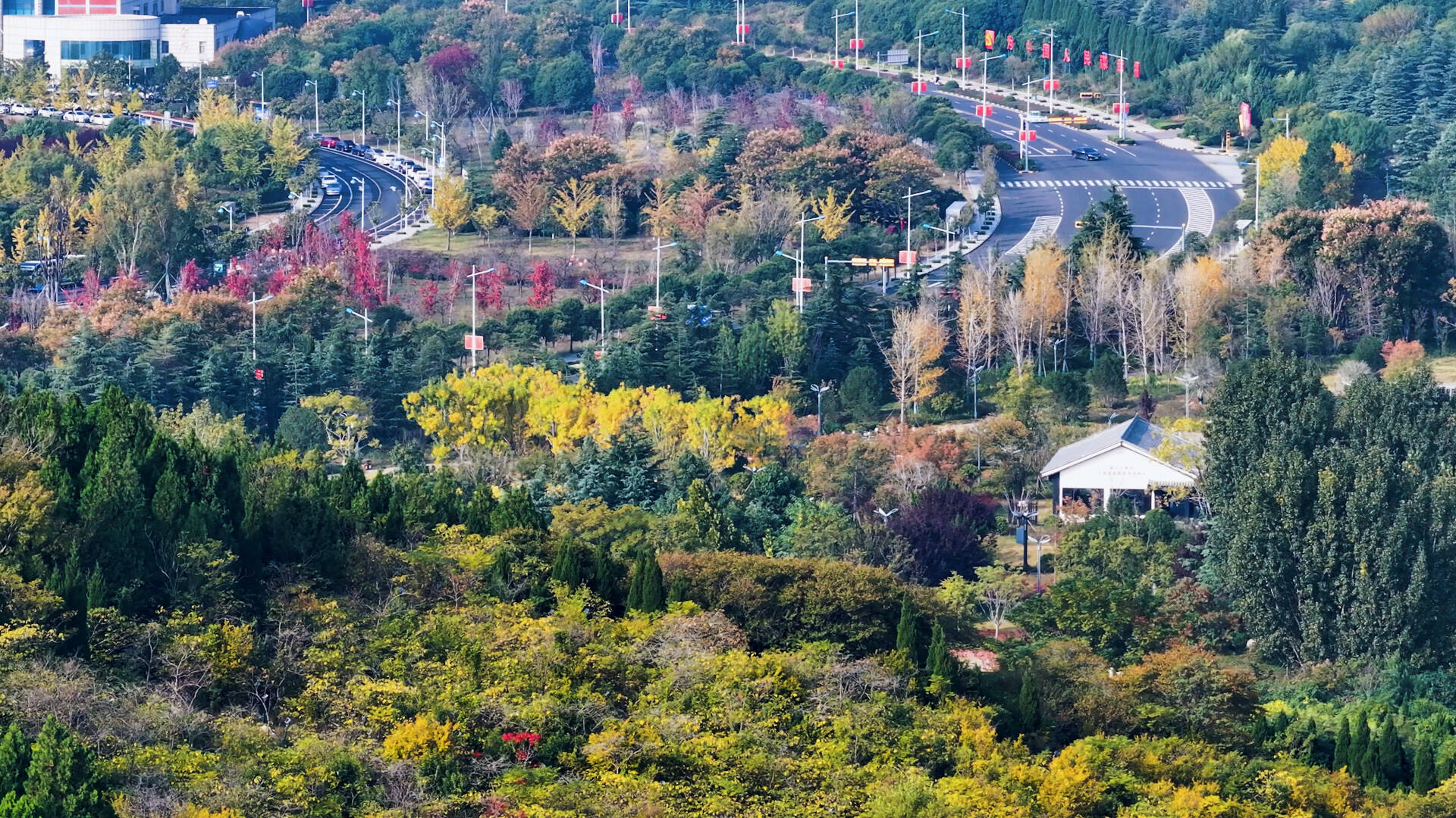 诗画山东丨黄橙红绿“层林染” 枣庄龟山赏景正当时