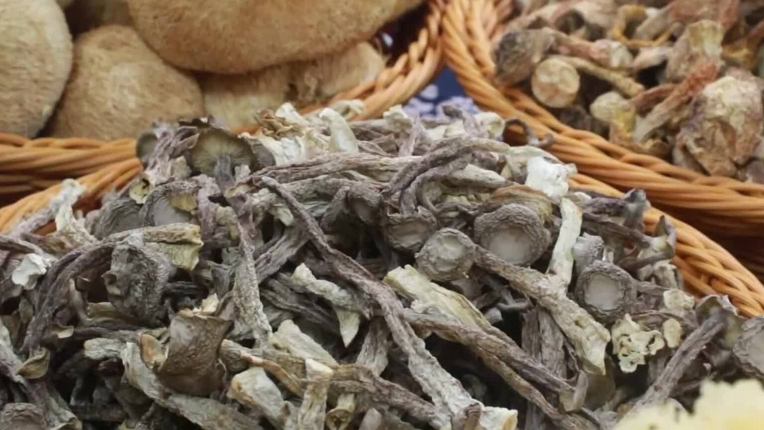 云话山东｜这家农业企业率先在枣庄市获种苗花卉出口权限
